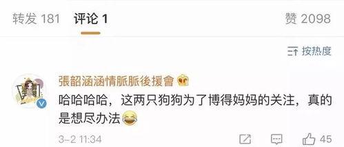 吃瓜娱乐账号起名大全最新,盘点最新吃瓜娱乐账号起名大全